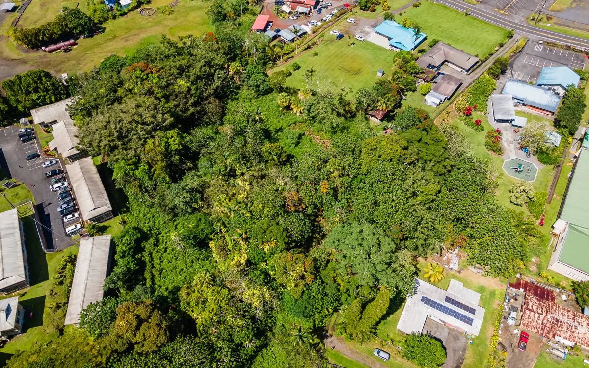 Kekauonohi St, Pahoa, HI 96778 - #1