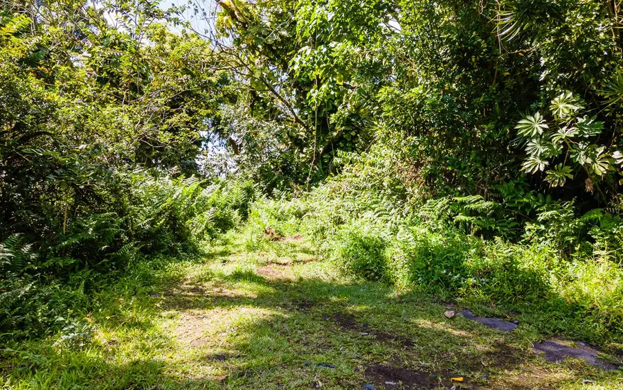 Kekauonohi St, Pahoa, HI 96778 - #3