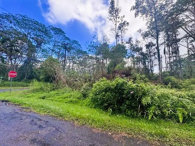 Pikake Rd, Pahoa, HI 96778 - #1