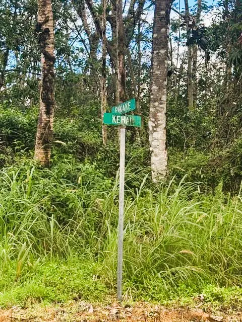 Pikake Rd, Pahoa, HI 96778 - #3