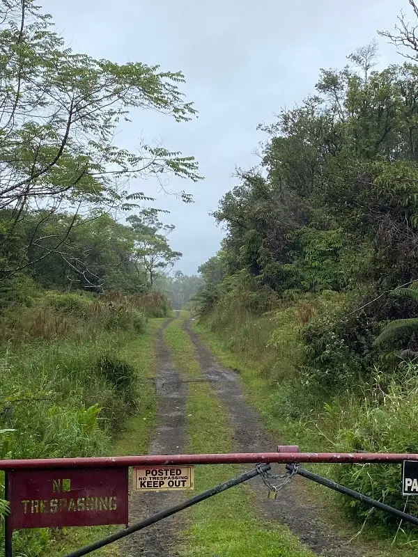 Ihope Rd, Mountain View, HI 96771 - #2