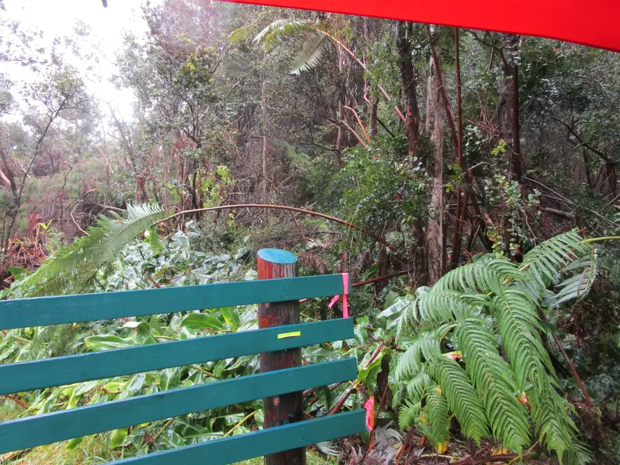 Address Withheld By Seller, Volcano, HI 96785 - #3