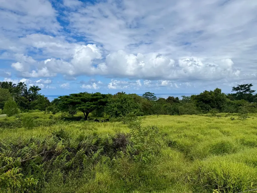 Puumoi Road, Papaikou, HI 96781 - #2