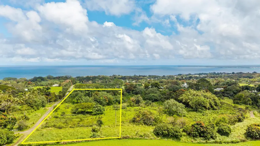 Puumoi Road, Papaikou, HI 96781 - #3