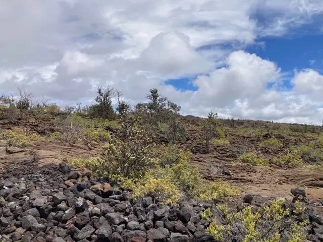 Marlin Blvd, Ocean View, HI 96737 - #3