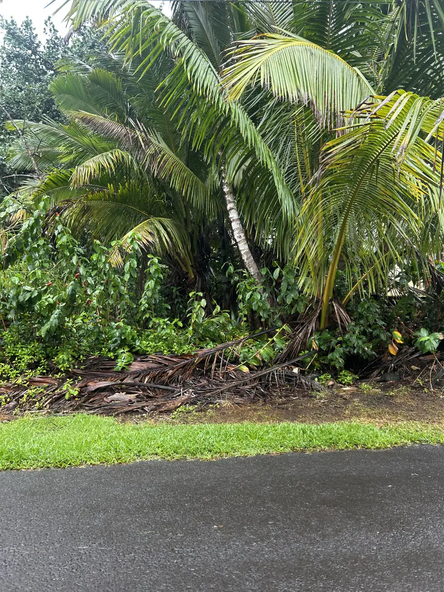 Paradise Ala Kai, Keaau, HI 96749 - #2