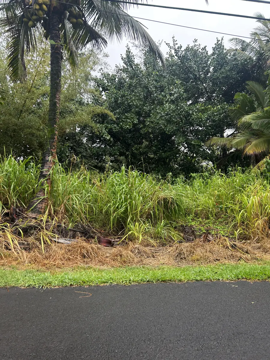 Paradise Ala Kai, Keaau, HI 96749 - #3