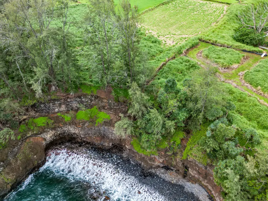 28-1168 Loa Rd, Pepeekeo, HI 96783 - #2