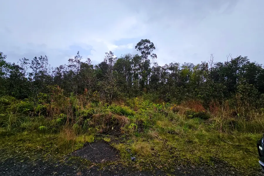 11-3011 Alii Kane St, Volcano, HI 96785 - #3