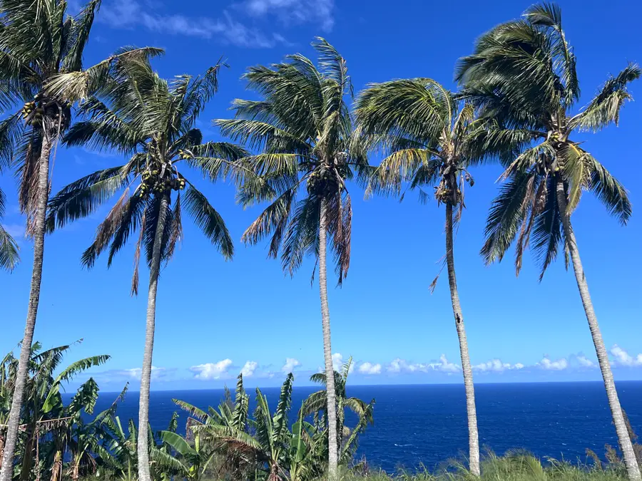 39-3296 Old Mamalahoa Hwy, Ookala, HI 96774 - #3