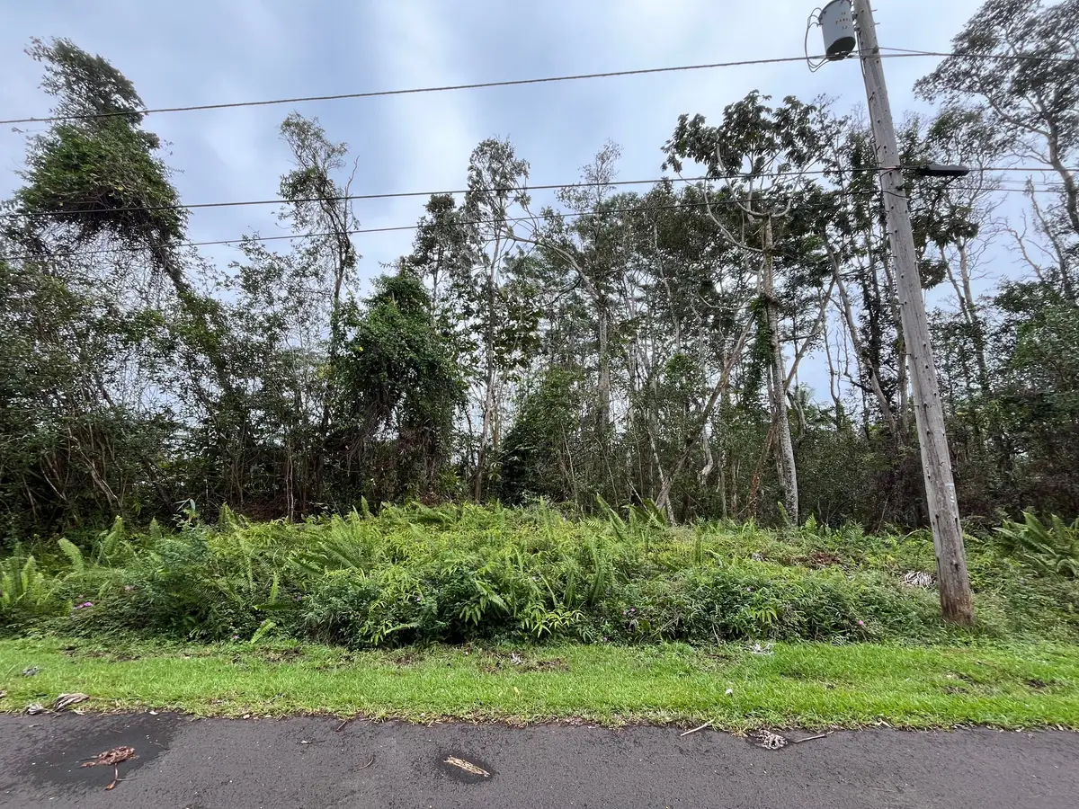 Iao St, Pahoa, HI 96778 - #1