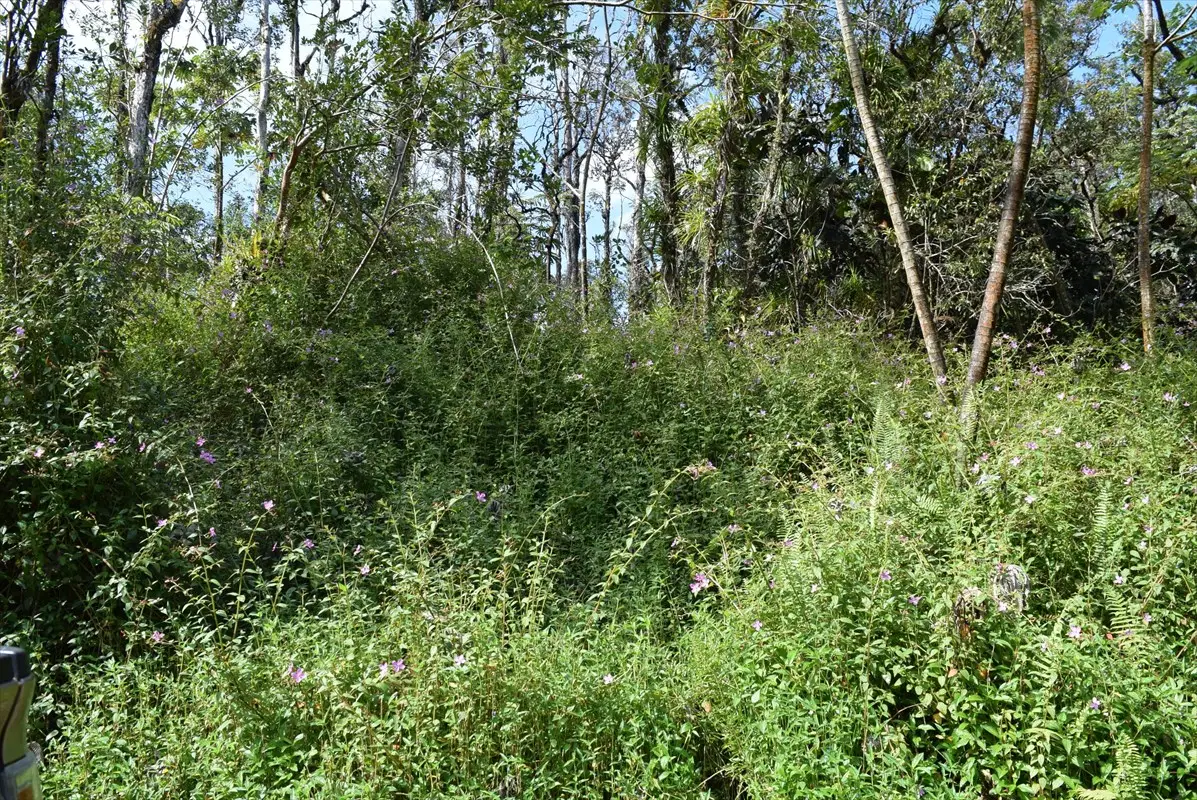 14-3537 Kauai Rd, Pahoa, HI 96778 - #1