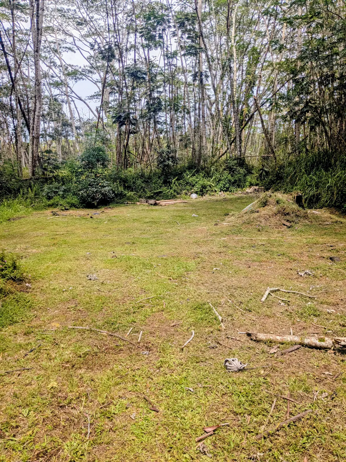 Pakalana Rd, Pahoa, HI 96778 - #1