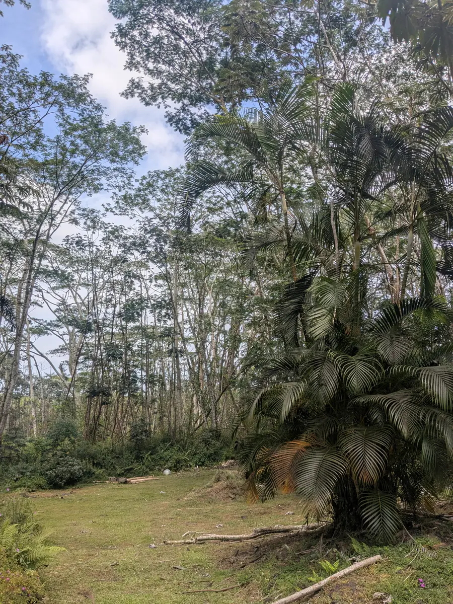 Pakalana Rd, Pahoa, HI 96778 - #2