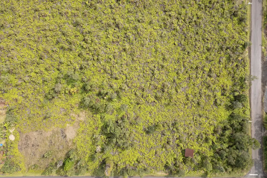 Pa Alii St, Volcano, HI 96785 - #3