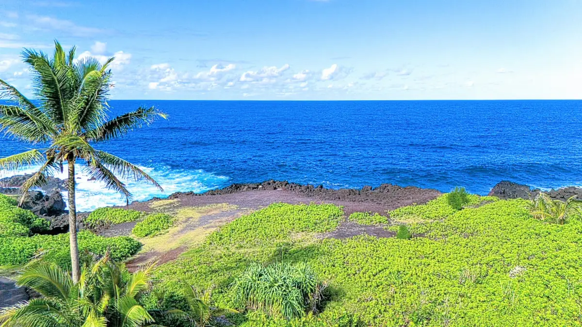 Welea St, Pahoa, HI 96778 - #1