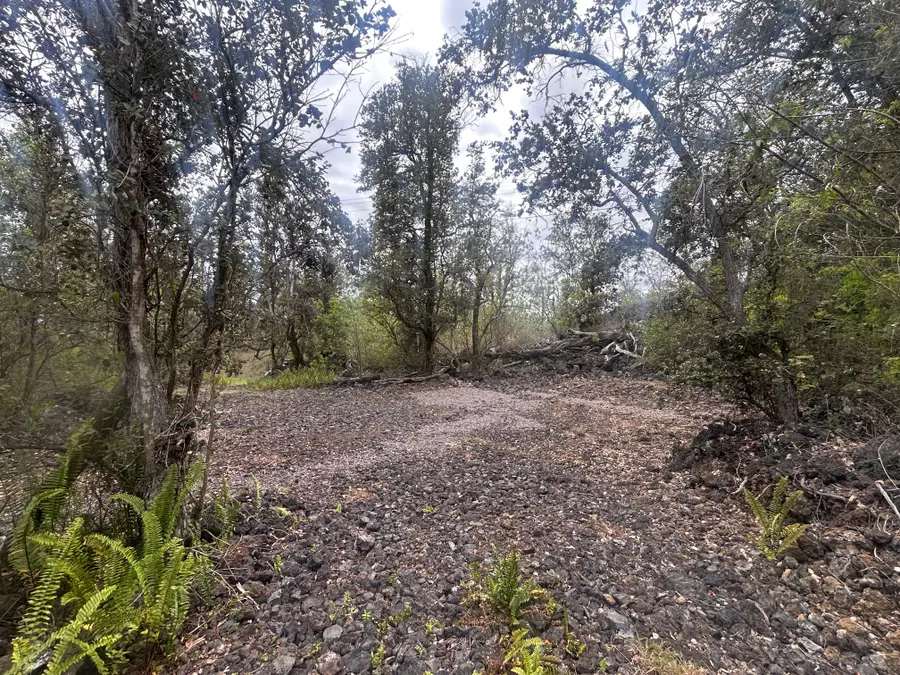 92-8712 King Kamehameha Blvd, Ocean View, HI 96737 - #3