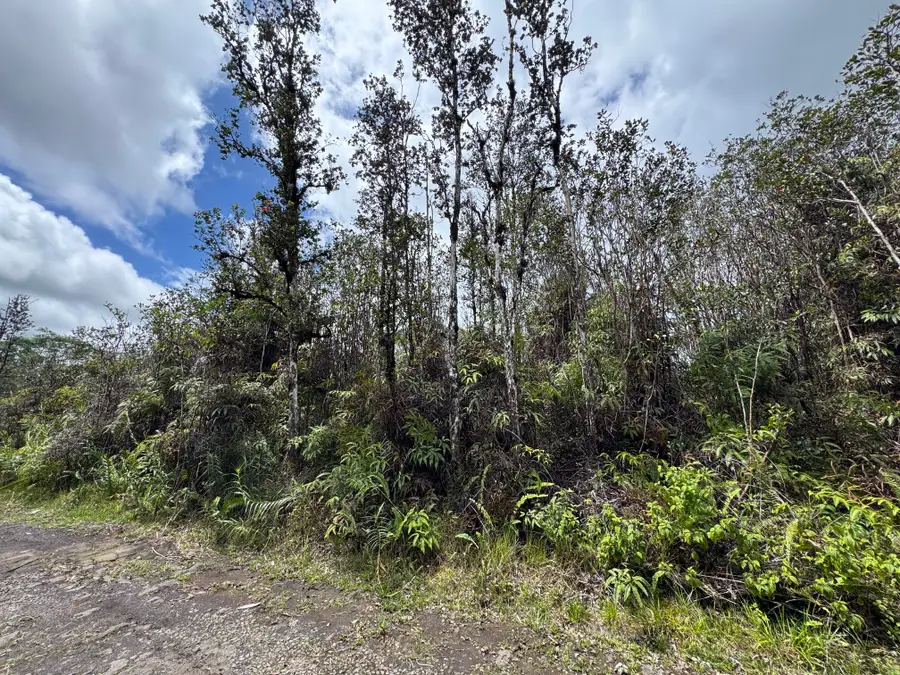 Road 7 (opeapea), Kurtistown, HI 96760 - #2