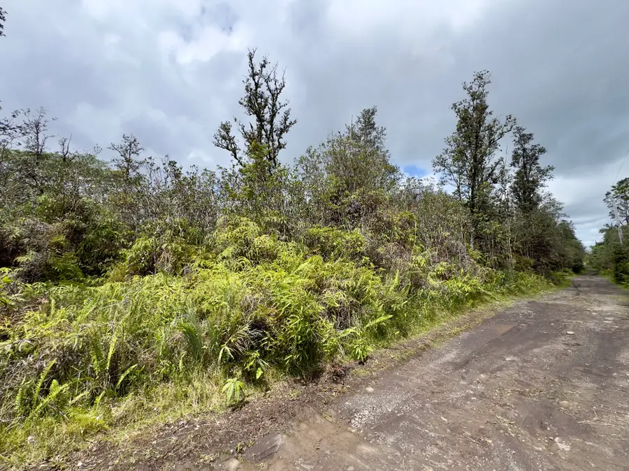 Road 7 (opeapea), Kurtistown, HI 96760 - #3