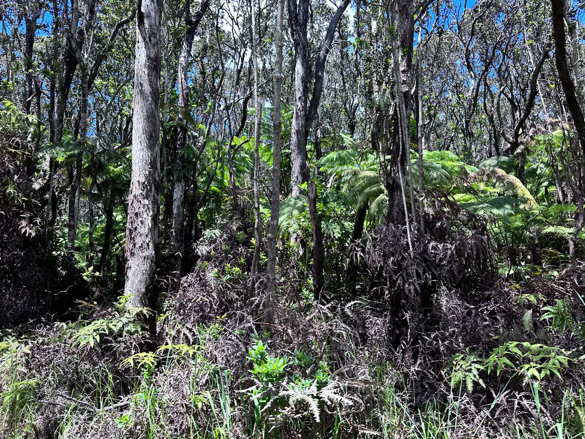 Road 3 (hopue), Hawaiian Acres, HI 96760 - #1