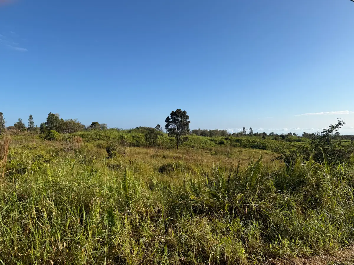 Wailani Nui Dr, Mountain View, HI 96771 - #1