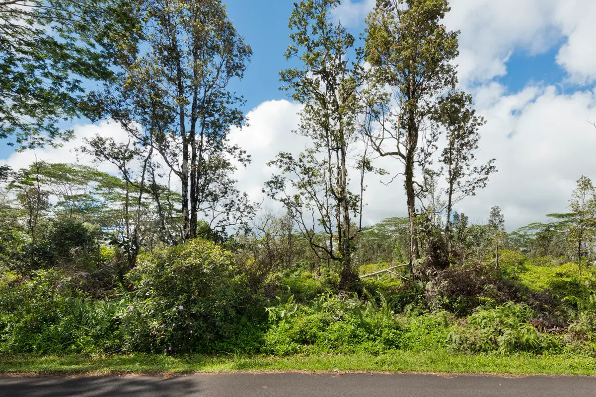 12th Ave, Keaau, HI 96749 - #1