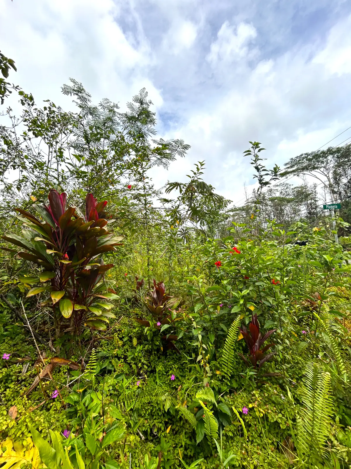 Plumeria Rd, Pahoa, HI 96778 - #1