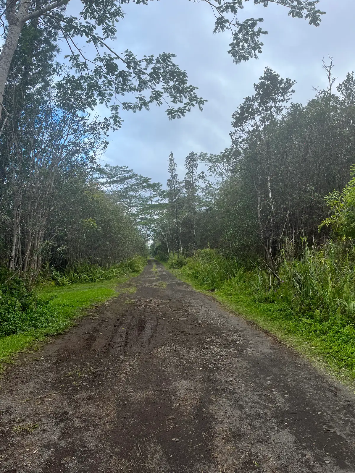 Road 10 (poouli), Kurtistown, HI 96760 - #1