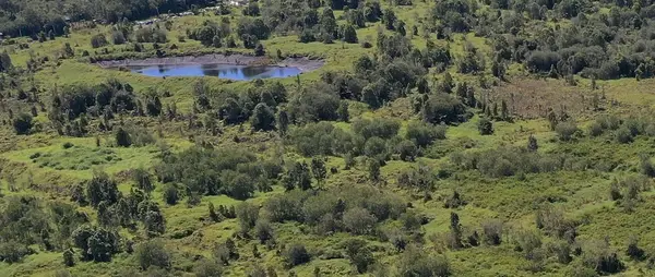 Lehuanani St, Mountain View, HI 96771