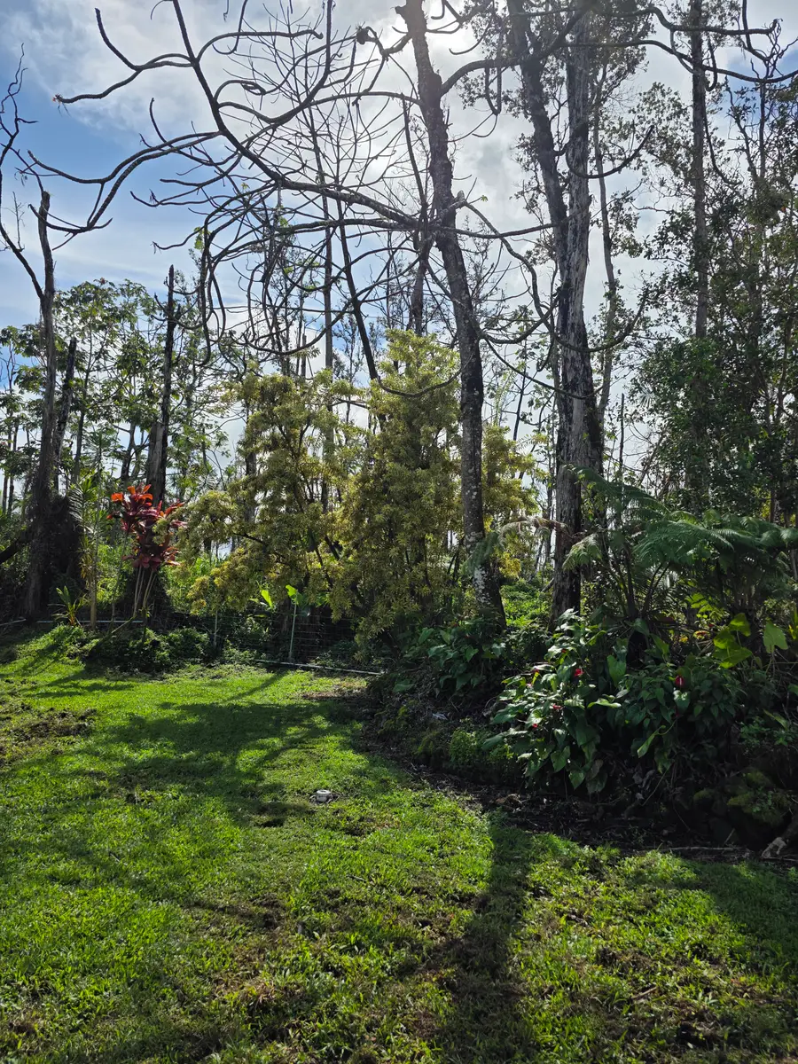 16-2463 Ainaloa Dr, Pahoa, HI 96778 - #3