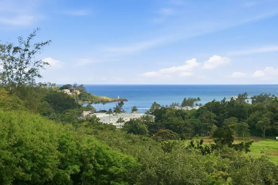 2990 Mokoi St, Lihue, HI 96766 - #3