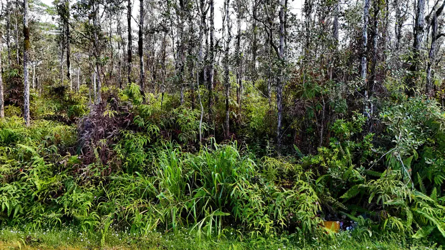 14-3415 Niihau Rd, Pahoa, HI 96778 - #2