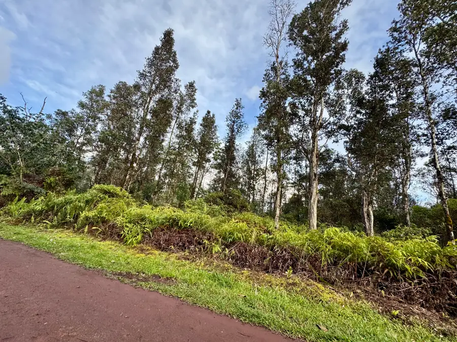 12-4319 Iolani Street, Pahoa, HI 96778 - #3