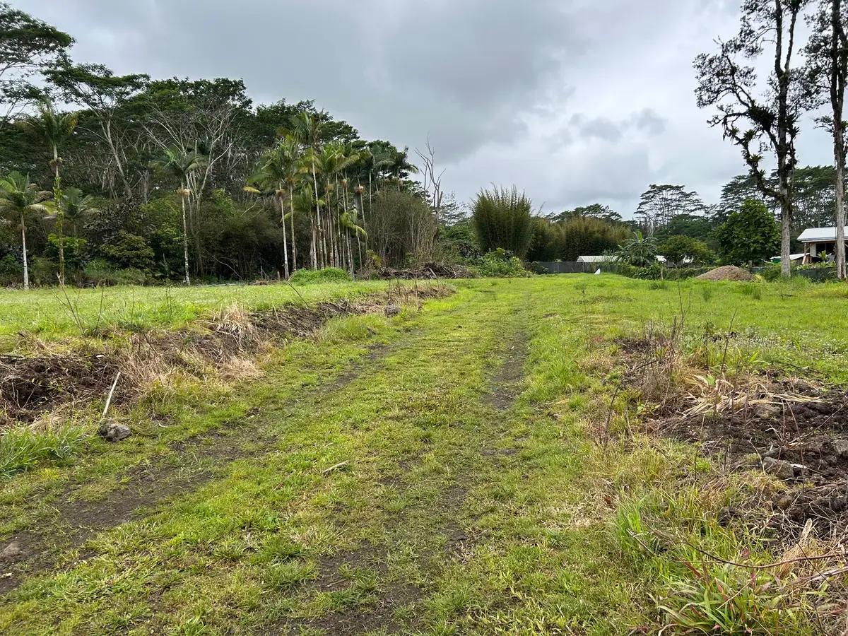 17-4117 Kukui Camp Rd, Mountain View, HI 96771 - #1