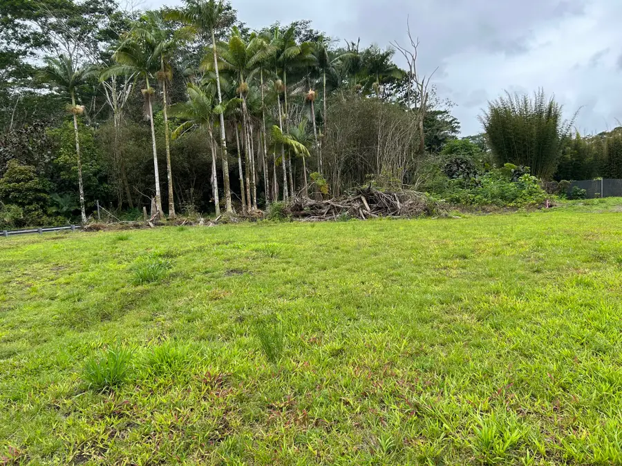 17-4117 Kukui Camp Rd, Mountain View, HI 96771 - #2