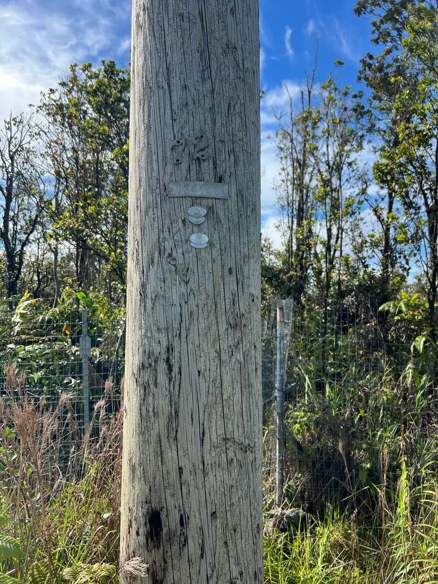 11-2454 Kaleponi Dr, Volcano, HI 96785 - #2