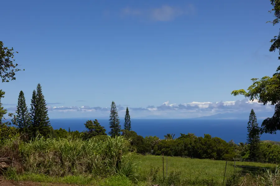 Waiolu Pl, Hawi, HI 96719 - #2