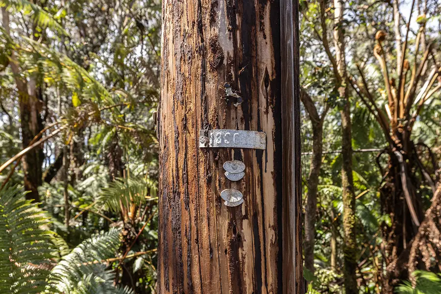 11th St, Volcano, HI 96785 - #2