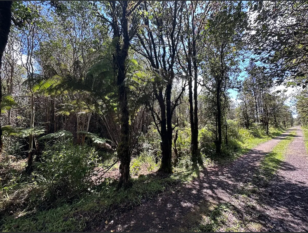 Road 11, Mountain View, HI 96771 - #1