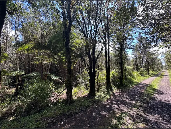 Road 11, Mountain View, HI 96771