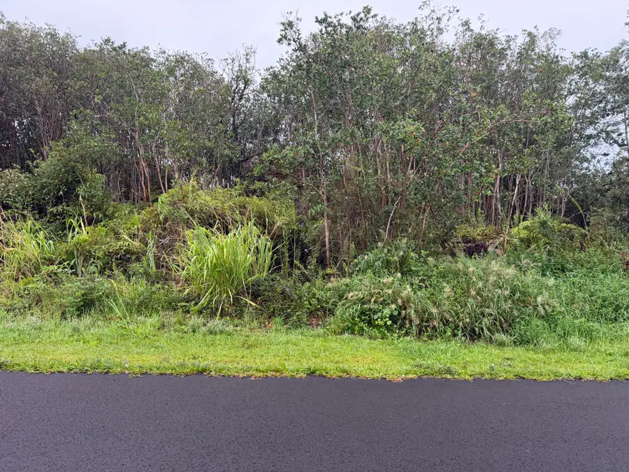 Kolika Rd, Mountain View, HI 96771 - #2