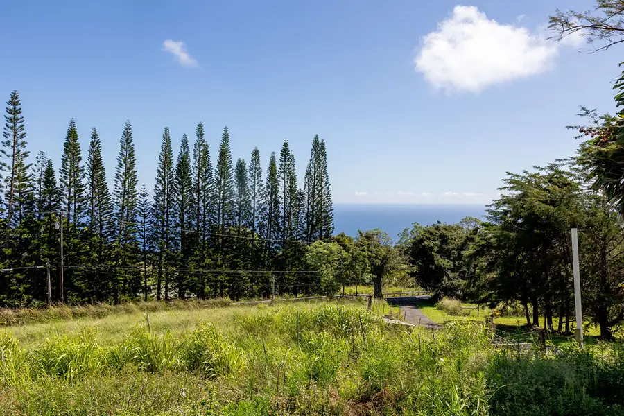 44-2527 Kalopa Mauka Rd, Honokaa, HI 96727 - #3