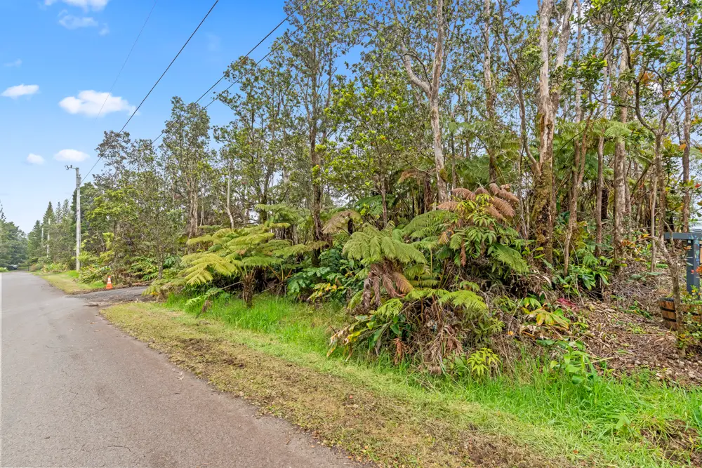 Ala Ohia St, Volcano, HI 96785 - #1