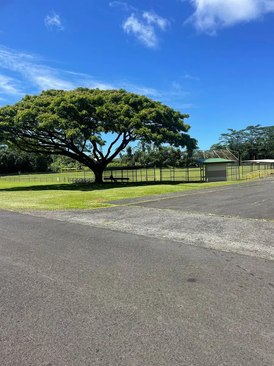 Manini St, Pahoa, HI 96778 - #3