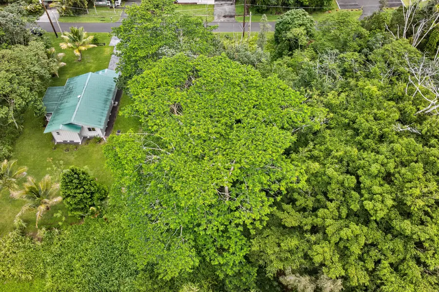 Honu St, Pahoa, HI 96778 - #2