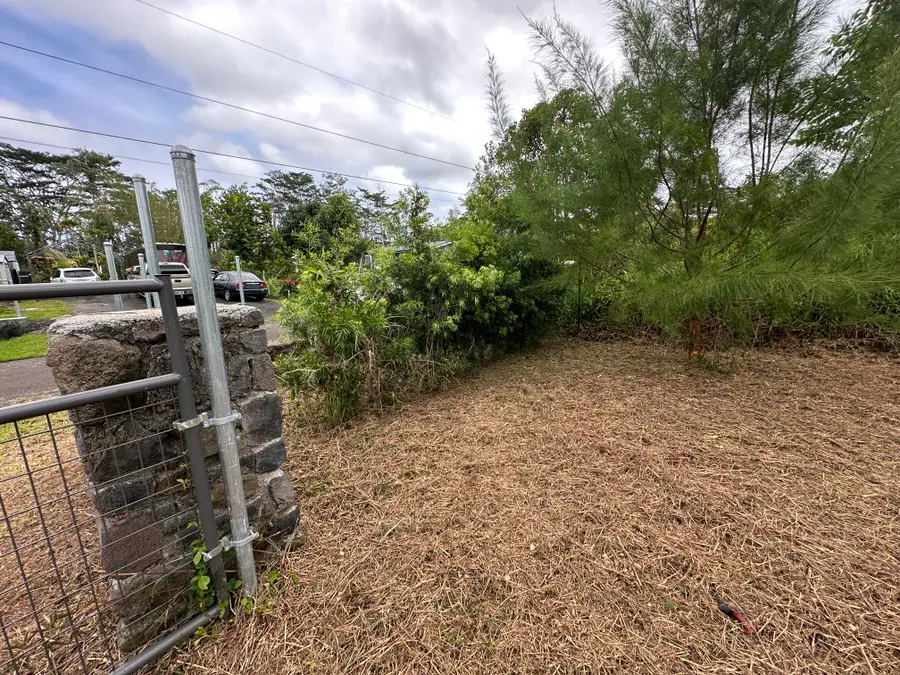 Paradise Ct, Kurtistown, HI 96760 - #3