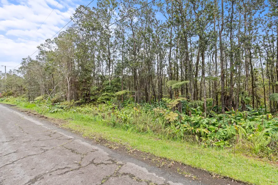 Wohi Pl, Volcano, HI 96785 - #3