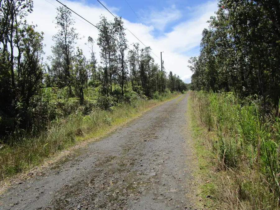 Noio St, Mountain View, HI 96771 - #3