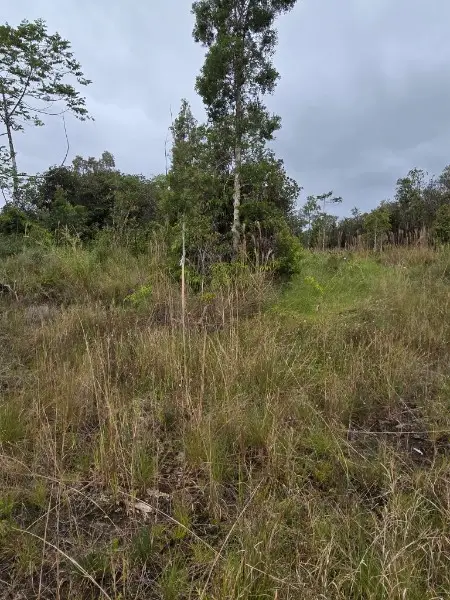 Huina Rd, Mountain View, HI 96771 - #2