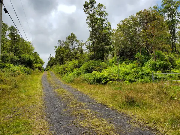 Kopaa St, Mountain View, HI 96771